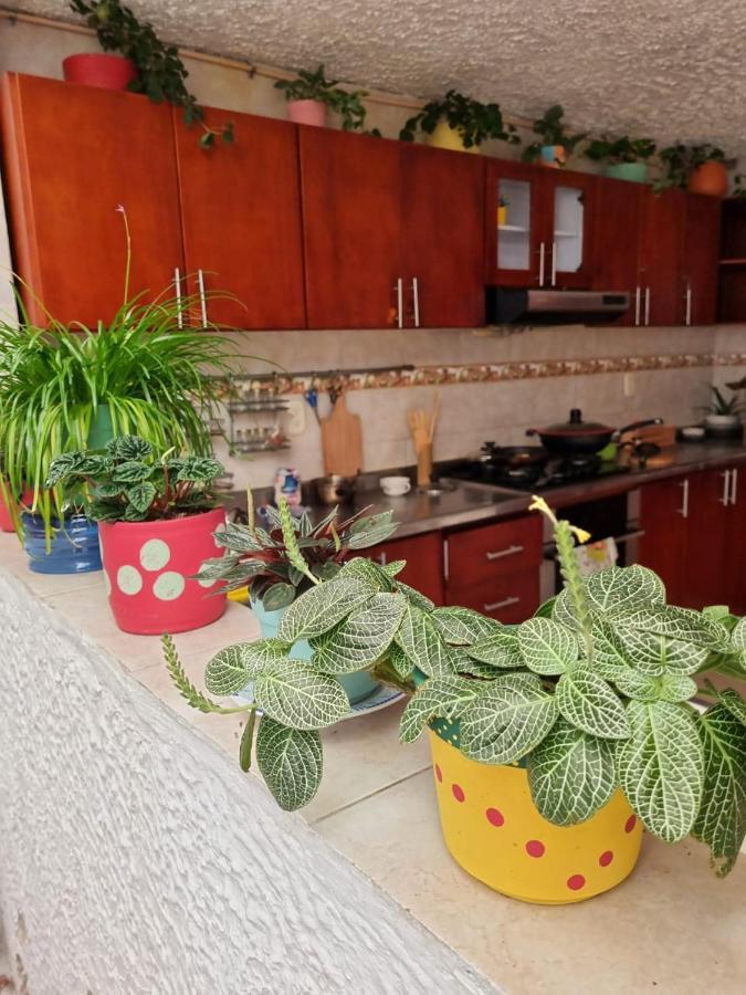Tatami Hostel Bucaramanga Kültér fotó