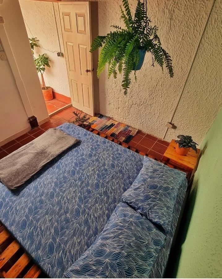 Tatami Hostel Bucaramanga Kültér fotó