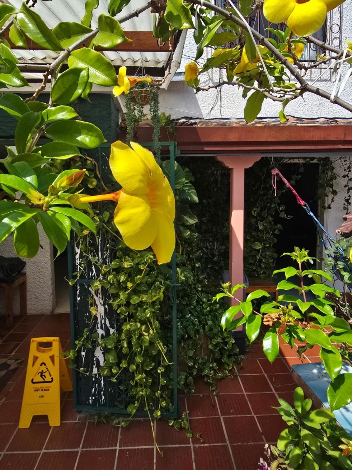 Tatami Hostel Bucaramanga Kültér fotó