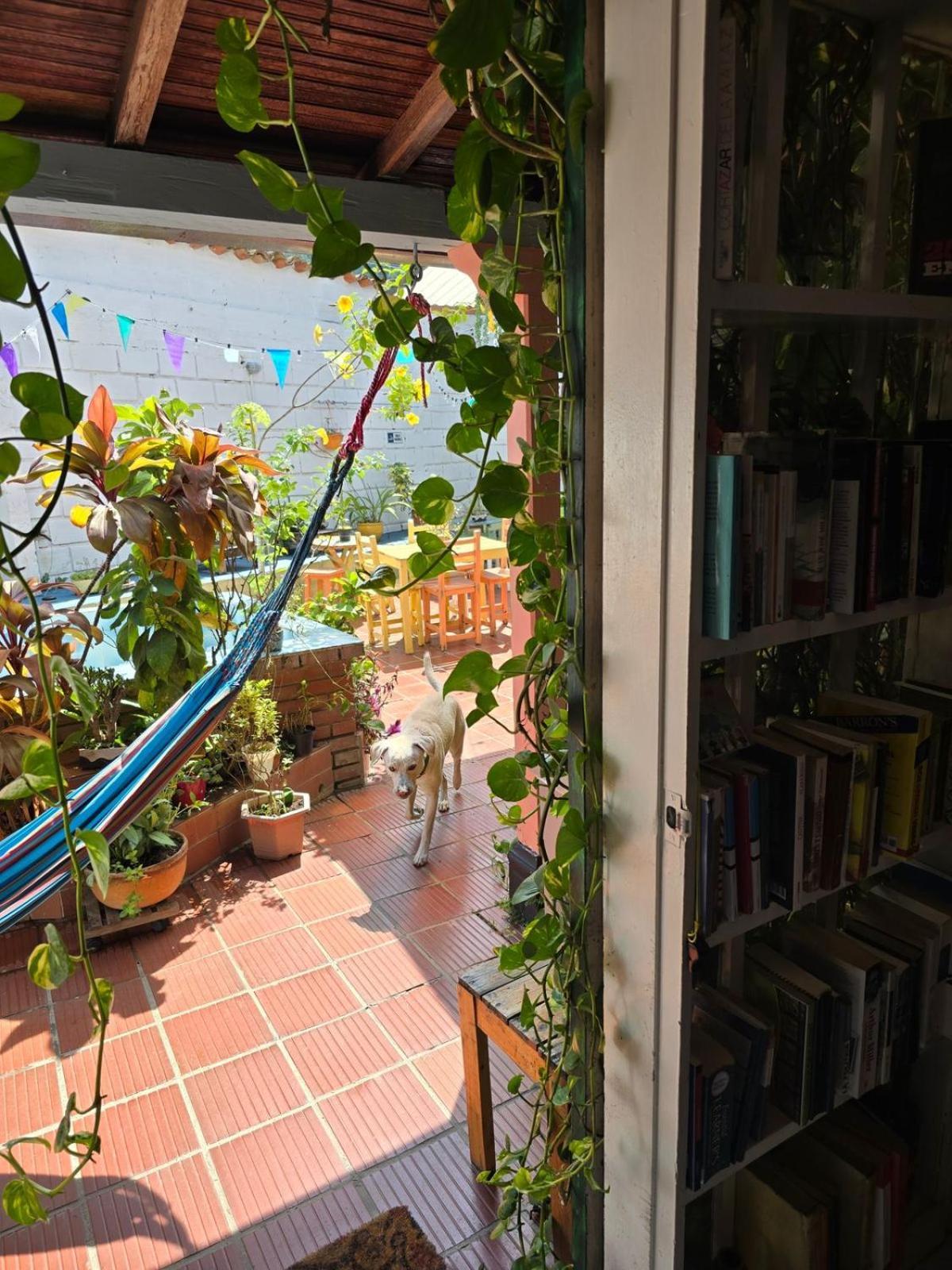 Tatami Hostel Bucaramanga Kültér fotó